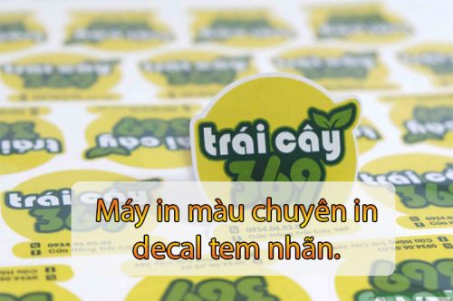 Máy in màu chuyên in decal tem nhãn. In tem nhãn nên chọn máy in nào ?